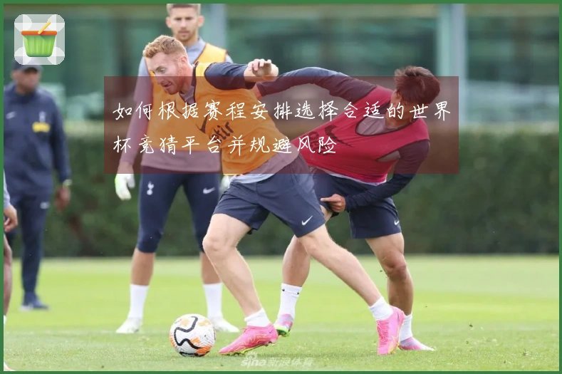 如何根据赛程安排选择合适的世界杯竞猜平台并规避风险