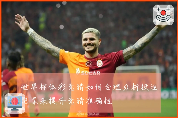 世界杯体彩竞猜如何合理分析投注记录来提升竞猜准确性