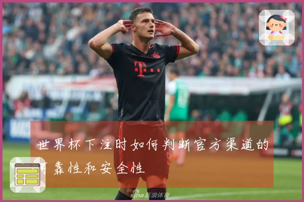 世界杯下注时如何判断官方渠道的可靠性和安全性