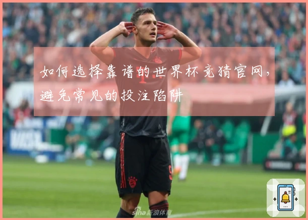 如何选择靠谱的世界杯竞猜官网，避免常见的投注陷阱