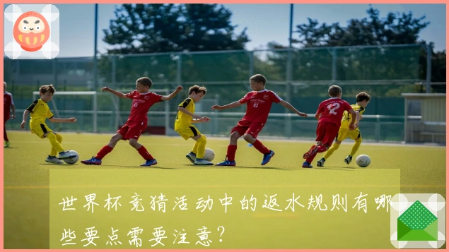 世界杯竞猜活动中的返水规则有哪些要点需要注意？