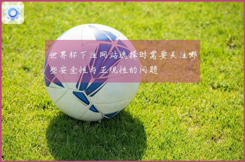 世界杯下注网站选择时需要关注哪些安全性与正规性的问题