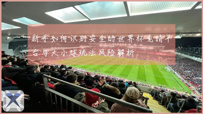新手如何识别安全的世界杯竞猜平台与大小球玩法风险解析