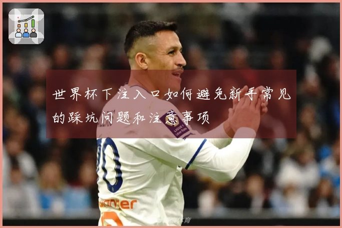 世界杯下注入口如何避免新手常见的踩坑问题和注意事项