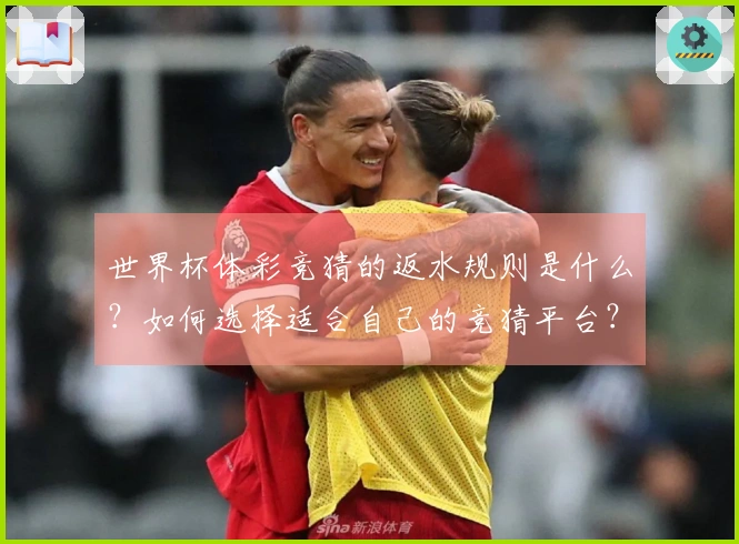 世界杯体彩竞猜的返水规则是什么?如何选择适合自己的竞猜平台?