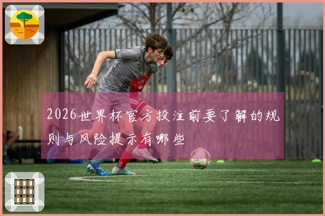 2026世界杯官方投注前要了解的规则与风险提示有哪些