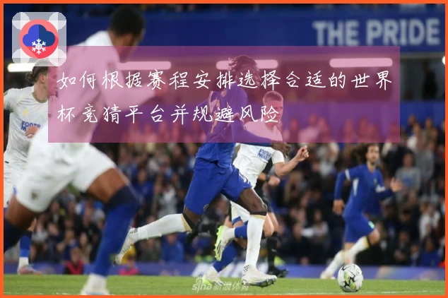 如何根据赛程安排选择合适的世界杯竞猜平台并规避风险