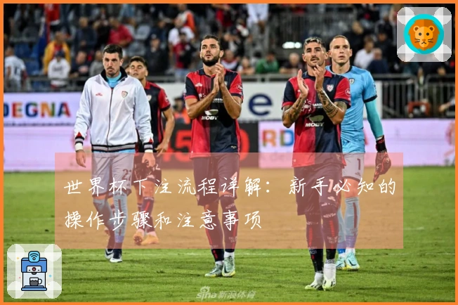 世界杯下注流程详解：新手必知的操作步骤和注意事项