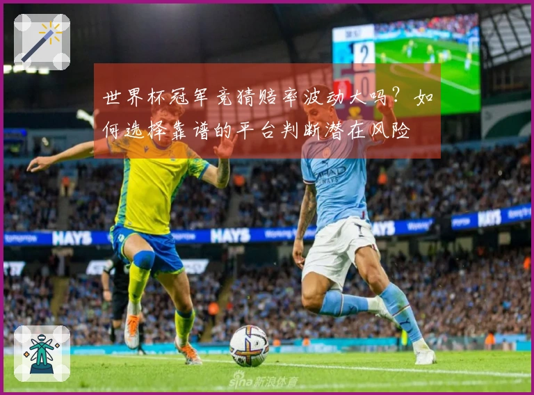 世界杯冠军竞猜赔率波动大吗？如何选择靠谱的平台判断潜在风险