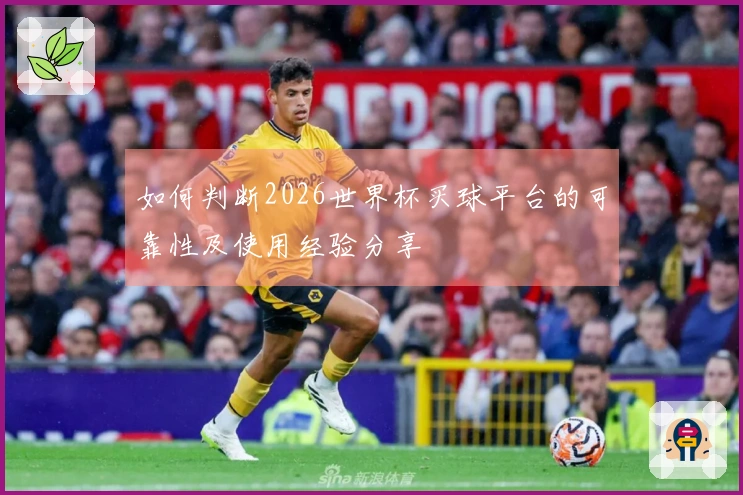 如何判断2026世界杯买球平台的可靠性及使用经验分享