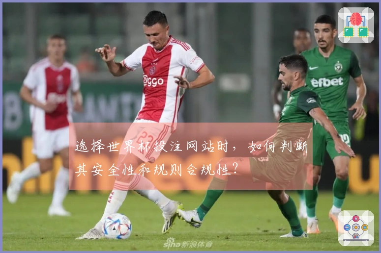 选择世界杯投注网站时，如何判断其安全性和规则合规性？
