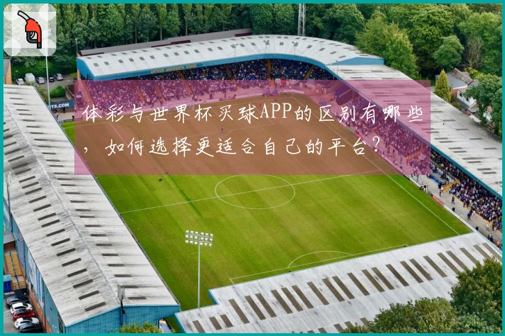 体彩与世界杯买球APP的区别有哪些，如何选择更适合自己的平台？