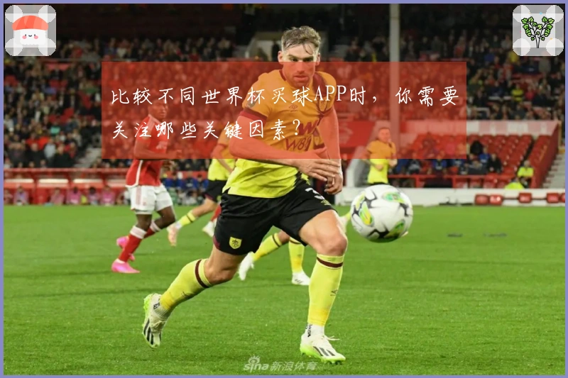 比较不同世界杯买球APP时，你需要关注哪些关键因素？