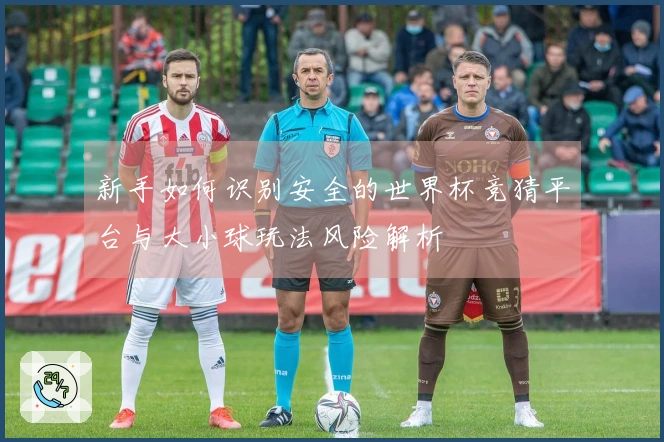 新手如何识别安全的世界杯竞猜平台与大小球玩法风险解析