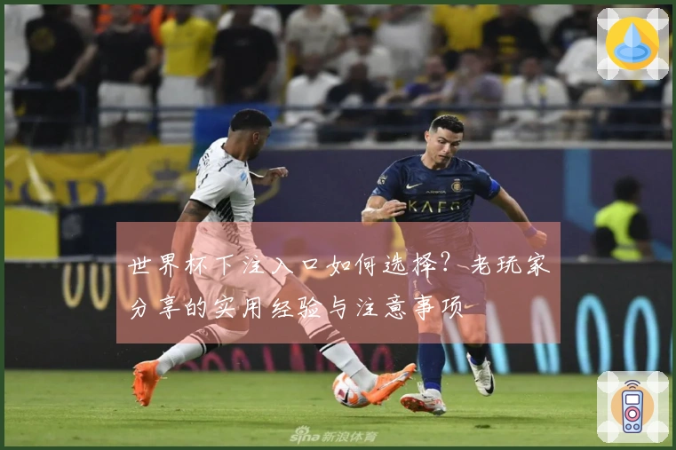 世界杯下注入口如何选择？老玩家分享的实用经验与注意事项