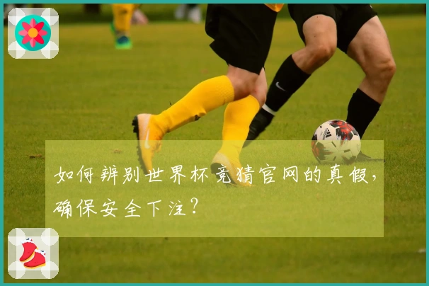 如何辨别世界杯竞猜官网的真假，确保安全下注？