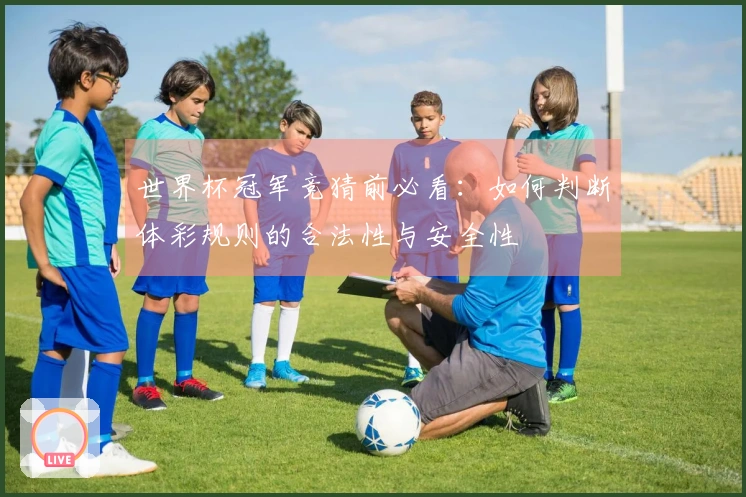 世界杯冠军竞猜前必看：如何判断体彩规则的合法性与安全性