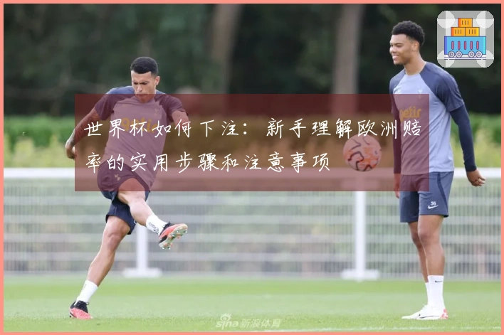 世界杯如何下注：新手理解欧洲赔率的实用步骤和注意事项