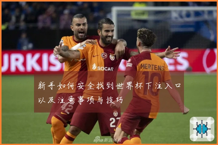 新手如何安全找到世界杯下注入口以及注意事项与技巧