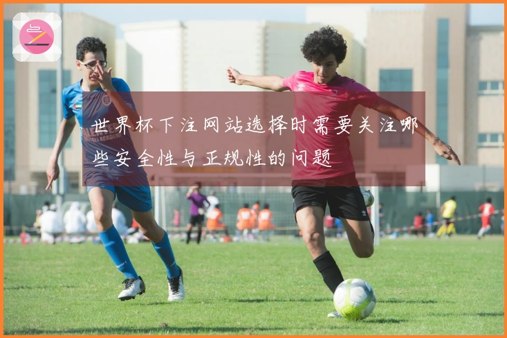 世界杯下注网站选择时需要关注哪些安全性与正规性的问题