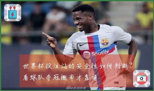 世界杯投注站的安全性如何判断？看球队夺冠概率才靠谱