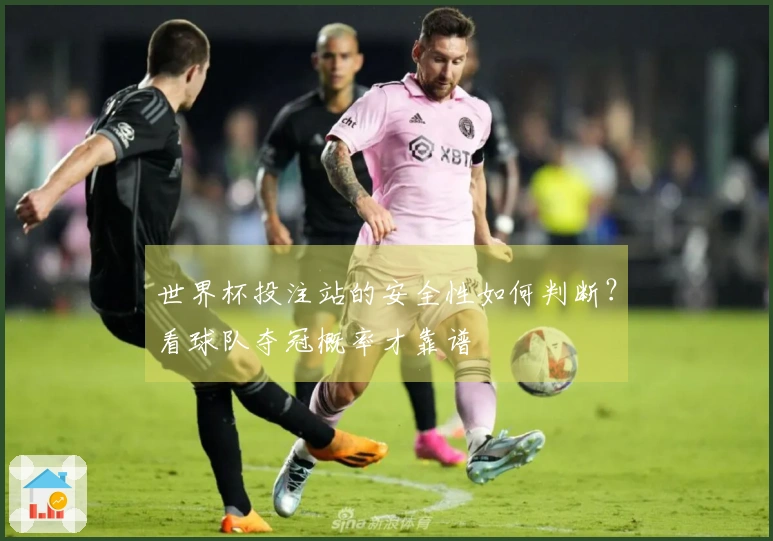 世界杯投注站的安全性如何判断？看球队夺冠概率才靠谱
