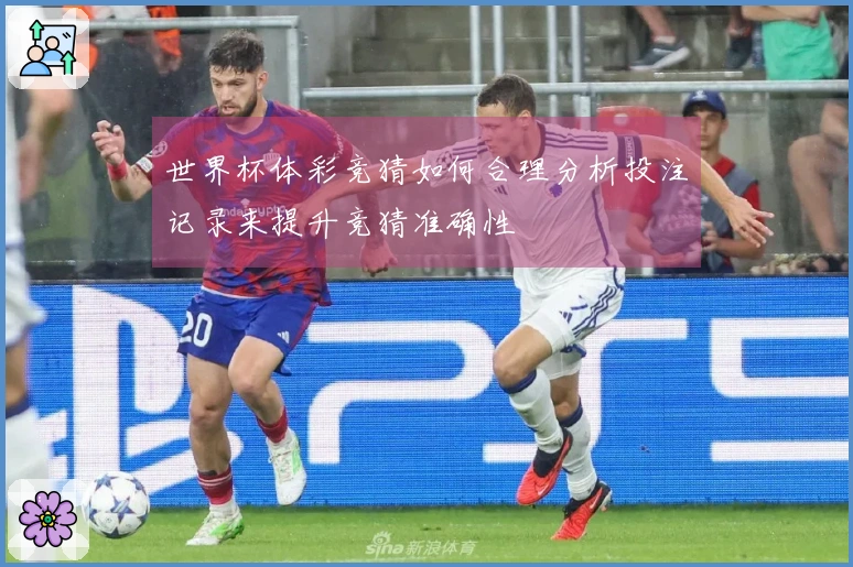 世界杯体彩竞猜如何合理分析投注记录来提升竞猜准确性