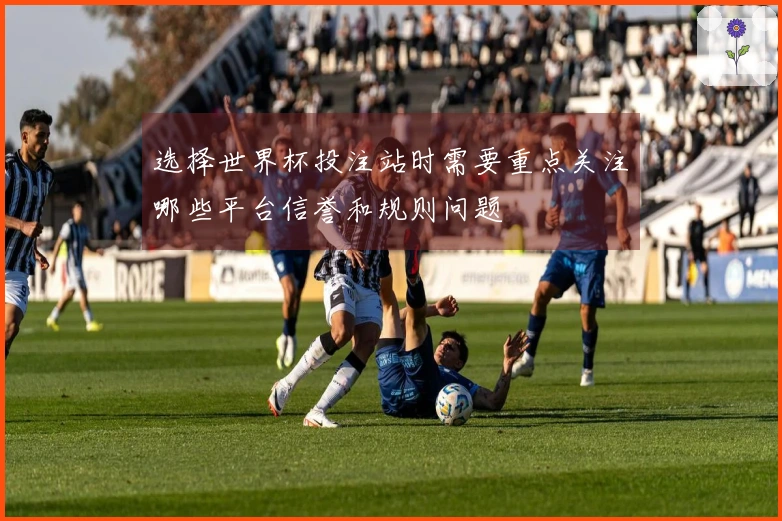 选择世界杯投注站时需要重点关注哪些平台信誉和规则问题