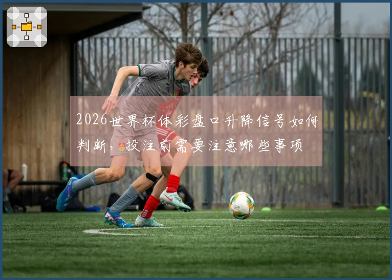 2026世界杯体彩盘口升降信号如何判断，投注前需要注意哪些事项