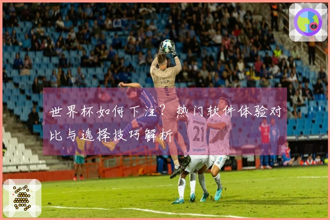 世界杯如何下注？热门软件体验对比与选择技巧解析