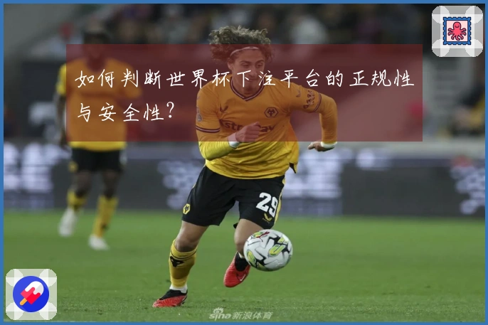 如何判断世界杯下注平台的正规性与安全性？