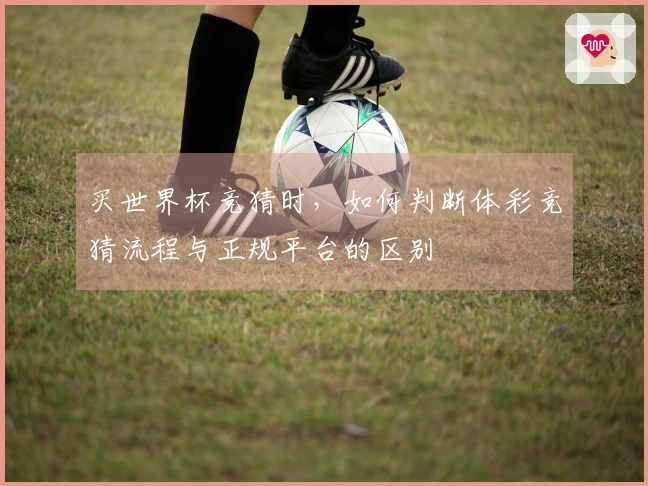 买世界杯竞猜时，如何判断体彩竞猜流程与正规平台的区别