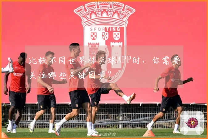 比较不同世界杯买球APP时，你需要关注哪些关键因素？